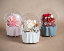 Load image into Gallery viewer, Cupcake Music Box, Sweet Heart
