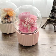 Load and play video in Gallery viewer, Cupcake Music Box, Champagne