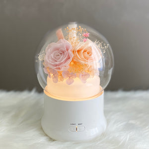 Aroma Humidifier with Light, Champagne