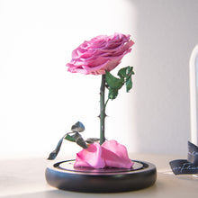 Load image into Gallery viewer, Timeless Prince&#39;s Rose, Taro Purple
