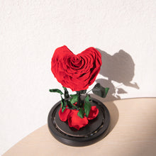 Load image into Gallery viewer, Timeless Prince&#39;s Rose, Red, Heart Rose

