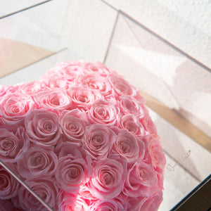 Heart Shaped Rose in Mirror Backing Box - Gradient Pink