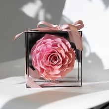 Load image into Gallery viewer, Small Heart Shaped Rose in Mirror Backing Box
