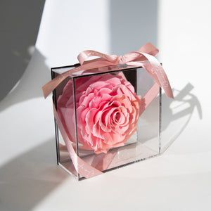 Small Heart Shaped Rose in Mirror Backing Box
