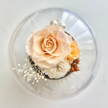 Load image into Gallery viewer, Cupcake Music Box, Champagne
