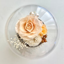 Load image into Gallery viewer, Cupcake Music Box, Champagne