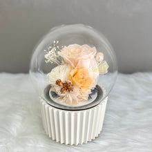 Load image into Gallery viewer, Cupcake Music Box, Champagne