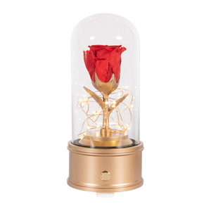 Enchanted Rose Bluetooth Speaker, Red Rose