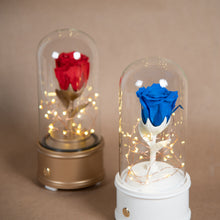 Load image into Gallery viewer, Enchanted Rose Bluetooth Speaker, Red Rose
