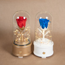 Load image into Gallery viewer, Enchanted Rose Bluetooth Speaker, Red Rose
