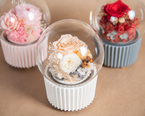 Cupcake Music Box, Champagne