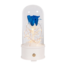 Load image into Gallery viewer, Enchanted Rose Bluetooth Speaker, Red Rose
