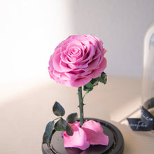 Load image into Gallery viewer, Timeless Prince&#39;s Rose, Taro Purple
