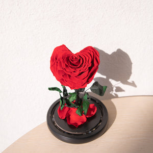 Timeless Prince's Rose, Red, Heart Rose