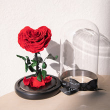 Load image into Gallery viewer, Timeless Prince&#39;s Rose, Red, Heart Rose
