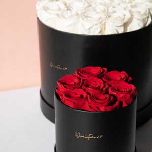 Rose Bucket 7 Stems