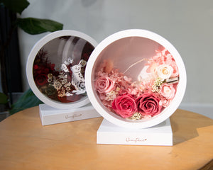 Terrarium Light Box