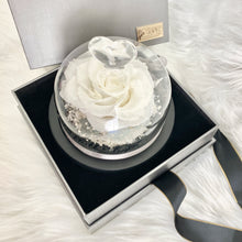Load image into Gallery viewer, Little Eternal Rose, White
