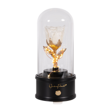 Load image into Gallery viewer, Enchanted Rose Bluetooth Speaker, Red Rose

