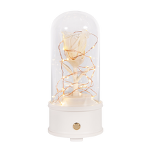 Load image into Gallery viewer, Enchanted Rose Bluetooth Speaker, Red Rose
